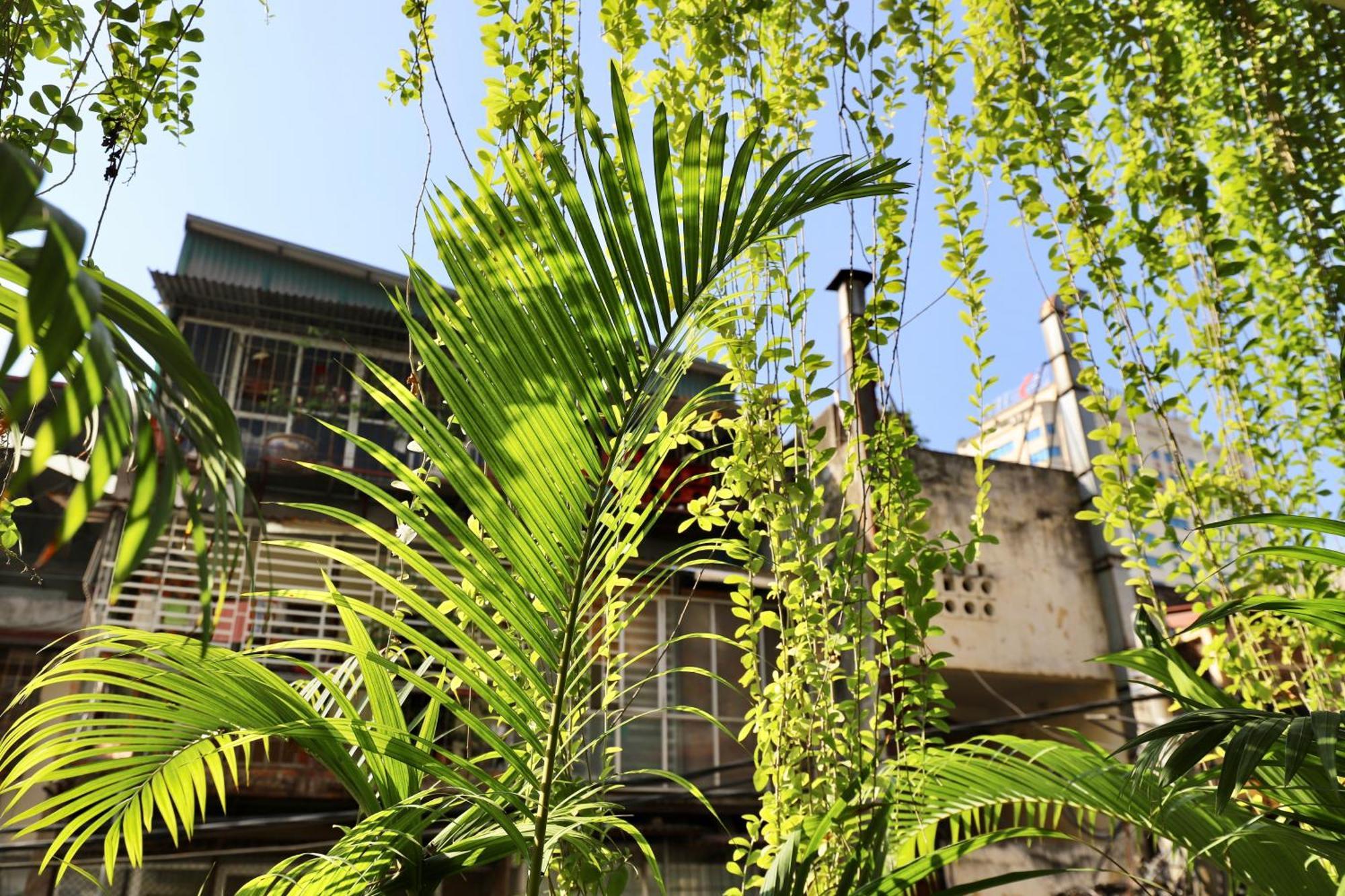 Appartement The Garden House à Hanoï Extérieur photo