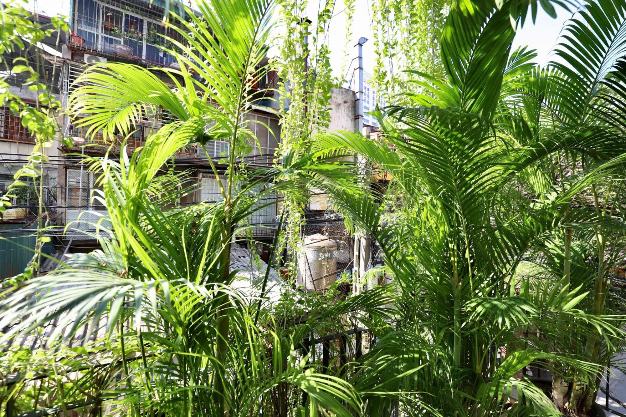 Appartement The Garden House à Hanoï Extérieur photo